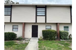 2027 Pine Chace Ct, TAMPA