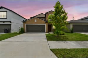 7205 Ronnie Gardens Ct, TAMPA