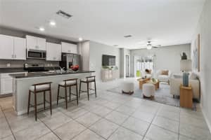 7205 RONNIE GARDENS COURT, TAMPA, FL 33619 - MLS#MFRTB8424483