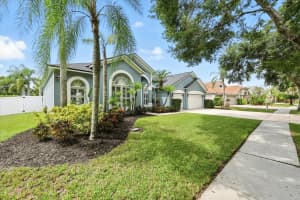 15130 ARBOR HOLLOW DR, ODESSA, FL 33556 - MLS#MFRTB8424484