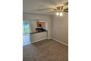 6972 TOWERING SPRUCE DRIVE, RIVERVIEW, FL 33578 - MLS#MFRTB8424492