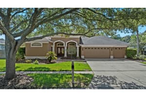 5519 REFLECTIONS BOULEVARD, LUTZ, FL 33558 - MLS#MFRTB8424522