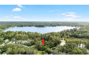LAKE DRIVE, NEW PORT RICHEY, FL 34654 - MLS#MFRTB8424539