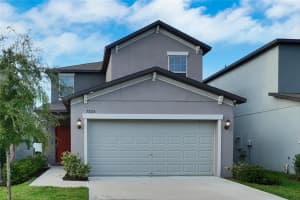7225 Spring Snowflake Ave, TAMPA