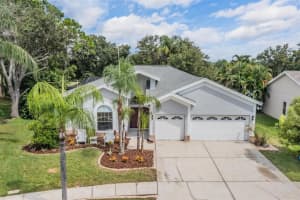 11209 POCKET BROOK DRIVE, TAMPA, FL 33635 - MLS#MFRTB8424599