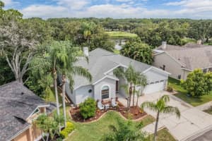 11209 POCKET BROOK DRIVE, TAMPA, FL 33635 - MLS#MFRTB8424599