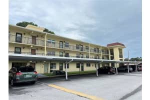 1450 HEATHER RIDGE BOULEVARD, DUNEDIN, FL 34698 - MLS#MFRTB8424620