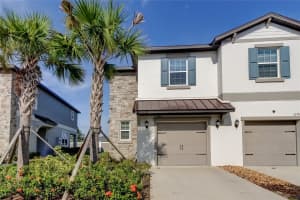 10387 LAVENDER ASTER TRAIL, SAN ANTONIO, FL 33576 - MLS#MFRTB8424627