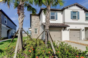 10387 LAVENDER ASTER TRAIL, SAN ANTONIO, FL 33576 - MLS#MFRTB8424627