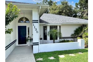 1135 COLONY ARMS DRIVE, LAKELAND, FL 33813 - MLS#MFRTB8424634