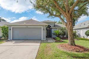 12206 COLDSTREAM LANE, TAMPA, FL 33626 - MLS#MFRTB8424642