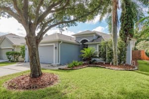 12206 COLDSTREAM LANE, TAMPA, FL 33626 - MLS#MFRTB8424642