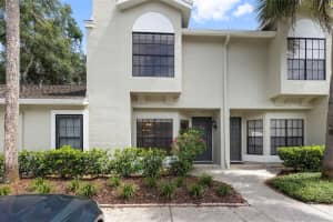 5100 BURCHETTE ROAD, TAMPA, FL 33647 - MLS#MFRTB8424677