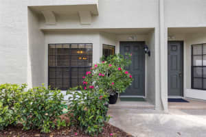 5100 BURCHETTE ROAD, TAMPA, FL 33647 - MLS#MFRTB8424677