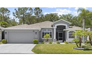 9723 ROLLING CIRCLE, SAN ANTONIO, FL 33576 - MLS#MFRTB8424683
