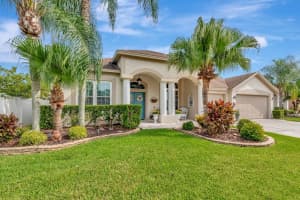 18001 Sparrows Nest Dr, LUTZ
