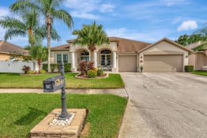 18001 SPARROWS NEST DRIVE, LUTZ, FL 33558 - MLS#MFRTB8424699