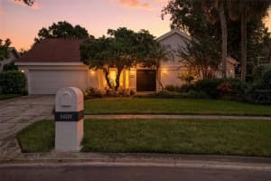14119 STONEGATE DRIVE, TAMPA, FL 33624 - MLS#MFRTB8424700