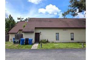 12430 TOUCHTON DRIVE, TAMPA, FL 33617 - MLS#MFRTB8424726
