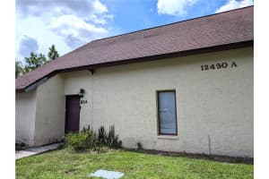 12430 TOUCHTON DRIVE, TAMPA, FL 33617 - MLS#MFRTB8424726