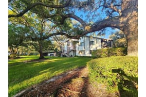 603 BALDWIN AVENUE, SAFETY HARBOR, FL 34695 - MLS#MFRTB8424730
