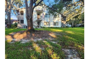 603 BALDWIN AVENUE, SAFETY HARBOR, FL 34695 - MLS#MFRTB8424730
