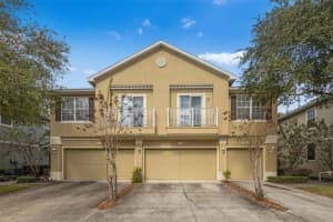 6723 Breezy Palm Dr, RIVERVIEW