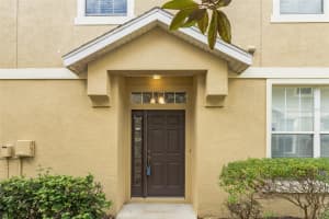 6723 BREEZY PALM DRIVE, RIVERVIEW, FL 33578 - MLS#MFRTB8424734