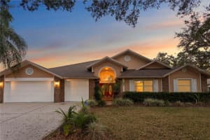 8701 Ballantrae Way, TAMPA