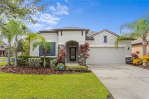 11304 Lazy Hickory Ln, TAMPA