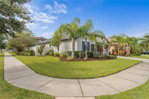 11304 LAZY HICKORY LANE, TAMPA, FL 33635 Sold 11/14/25
