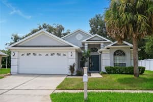 28516 TALL GRASS DRIVE, WESLEY CHAPEL, FL 33543 - MLS#MFRTB8424894