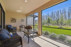 29488 GINNETTO DRIVE, WESLEY CHAPEL, FL 33543 - MLS#MFRTB8424895