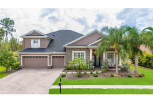 21604 DRAYCOTT WAY, LAND O LAKES, FL 34637 - MLS#MFRTB8424896