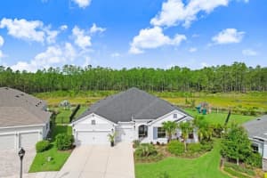 16160 NOVEMBER RAIN COURT, LAND O LAKES, FL 34638 - MLS#MFRTB8424929
