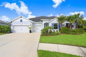 16160 NOVEMBER RAIN COURT, LAND O LAKES, FL 34638 - MLS#MFRTB8424929