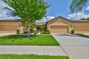 5831 Sunset Falls Dr, APOLLO BEACH