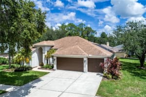 10601 Keswick Pl, TAMPA