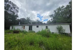 9219 151ST PLACE, DUNNELLON, FL 34432 - MLS#MFRTB8424962