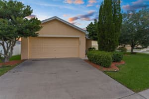 6338 TWIN BRIDGES DRIVE, ZEPHYRHILLS, FL 33541 - MLS#MFRTB8424984