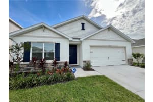 3505 Thistle Bank Ct, PLANT CITY