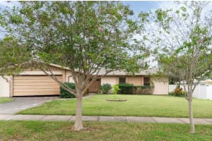 1555 Fife Ct, DUNEDIN
