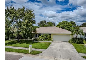 61 HARBOR WOODS CIRCLE, SAFETY HARBOR, FL 34695 - MLS#MFRTB8425034
