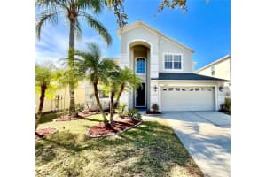 18208 SALTWATER RUN PLACE, TAMPA, FL 33647 - MLS#MFRTB8425051