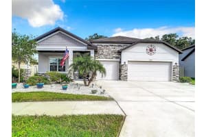 11407 THORN DAY COURT, SAN ANTONIO, FL 33576 - MLS#MFRTB8425087