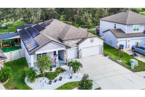 11407 THORN DAY COURT, SAN ANTONIO, FL 33576 - MLS#MFRTB8425087