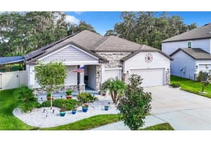 11407 THORN DAY COURT, SAN ANTONIO, FL 33576 - MLS#MFRTB8425087