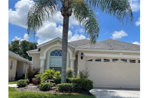 6117 GENTLE BEN CIR, WESLEY CHAPEL, FL 33544 - MLS#MFRTB8425091