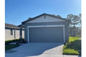 3289 FRESNO PL, WESLEY CHAPEL, FL 33543 - MLS#MFRTB8425100