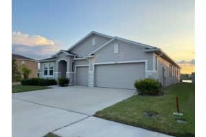 6218 WANDERING WILLOW DRIVE, WESLEY CHAPEL, FL 33545 - MLS#MFRTB8425125